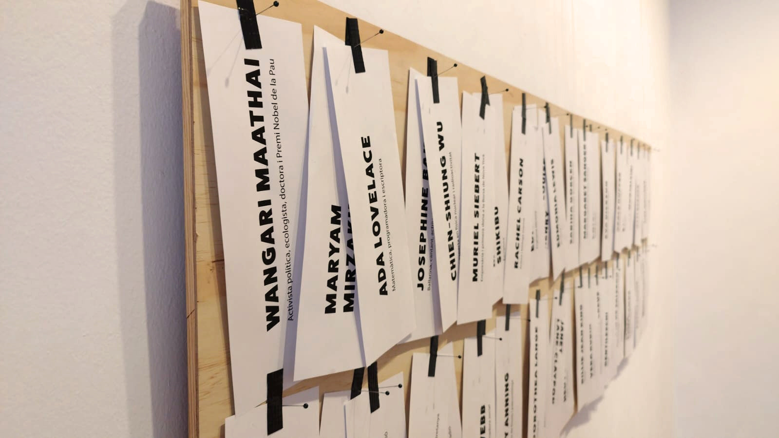 Names of women that were brilliant and should be part of history